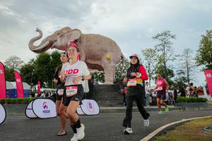 BIB: 
                            <button type="button" onclick="openModal(26528646)" class="btn btn-primary btn-sm float-right btn-popup" data-toggle="modal" data-target=".modal-high-quality">
                        <i class="fas fa-shopping-cart"></i> Add to Cart
                    </button>
                                            <button type="button" onclick="isThisMe(26528646, true)" class="btn btn-success btn-sm float-right btn-popup btn-isme hidden" data-toggle="tooltip" data-placement="bottom" title="นี่คือรูปของคุณใช่ไหม คลิกที่นี่เพื่อเอาเข้าอัลบั้ม">
                        <i class="fas fa-plus"></i> Add to album
                    </button>
                    <button type="button" onclick="isThisMe(26528646, false)" class="btn btn-warning btn-sm float-right btn-popup btn-isnotme hidden">
                        <i class="fas fa-ban"></i> Remove from album
                    </button>